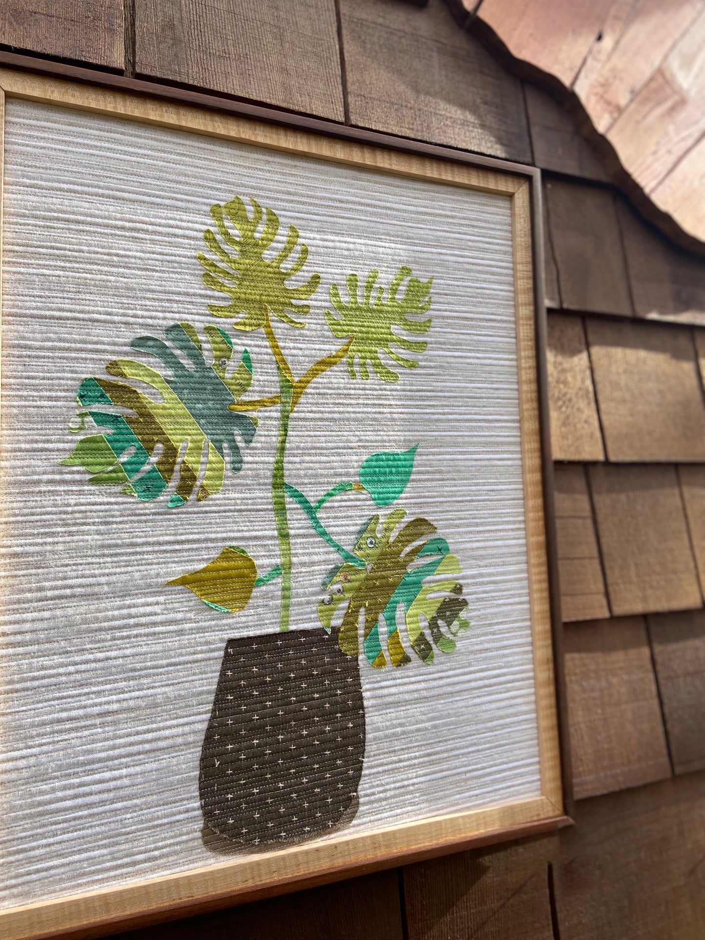 1st Place Monstera Deliciosa Large Tropical Split Leaf Plant